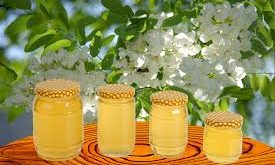 انواع بسته بندی عسل 
