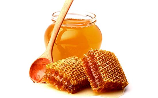 فروش عمده عسل