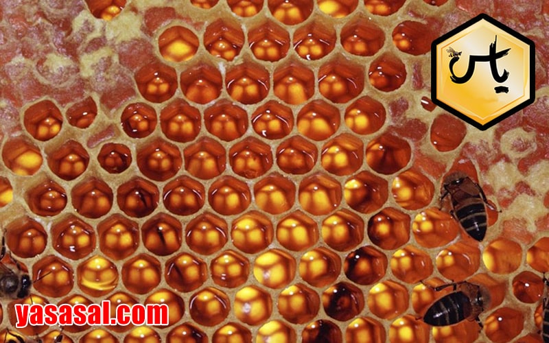 خرید اینترنتی پودر عسل