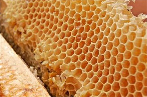 بهترین قیمت فروش عسل در ایران
