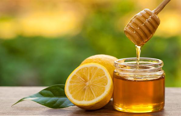 صادرات عسل به اروپا