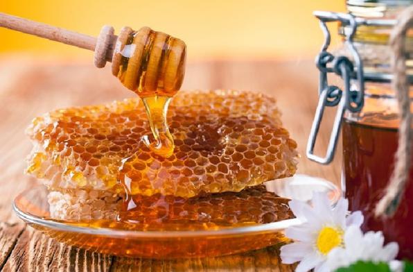 خرید عسل ارزان در کشور