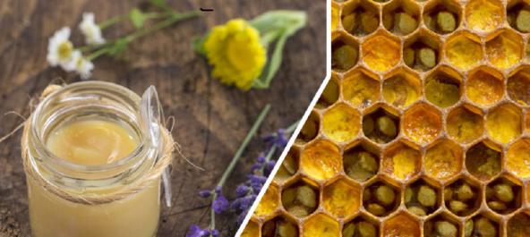 فروش ژل رویال عسل با کمترین قیمت ها در کشور