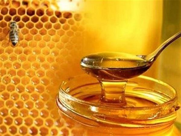 عوامل موثر در قیمت گذاری عسل کنار اصل