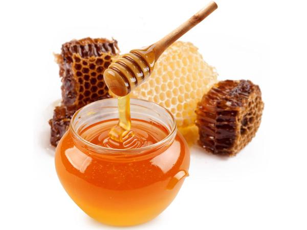 تهیه بهترین عسل طبیعی از زنبورداران